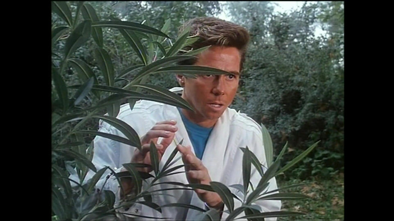 Rocco Siffredi and Friends: Memek berbulu moana pozzi dientot habis-habisan sama kontol besar sampai...