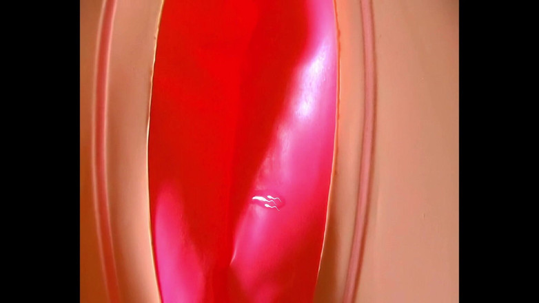 Mark Hannes: Sexdoll, кремпай, мастурбація, мастурбація на ліжку