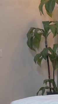 Junge kleine schlampe fingert ihre nasse muschi in solo-action