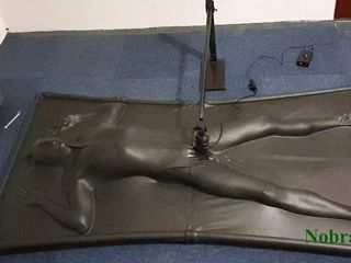 NL Milking: Vacbed and Nobra with timer