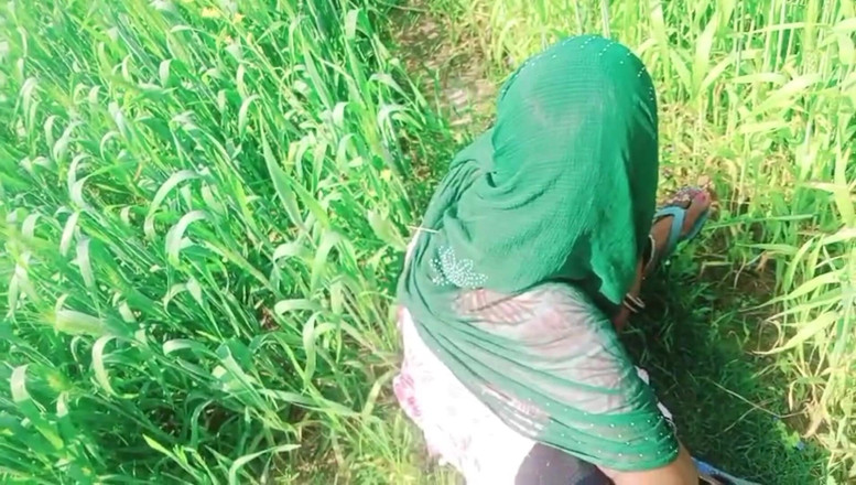 Bk Vlogs: Köylü yenge buğday tarlalarında seksi video