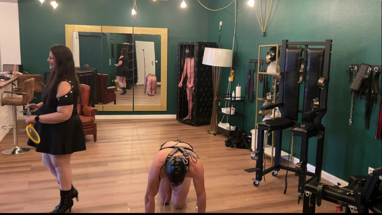 LadyPam: Mature Latex Dominatrix Commands Leashed Naked Slaves