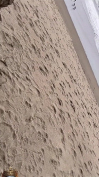 Marley bee nyepong kontol di pantai laut san fransisco