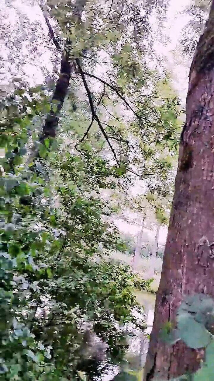 Slutboyben: Slutboyben Cam4 Ahli pameran bintang lucah seksi v