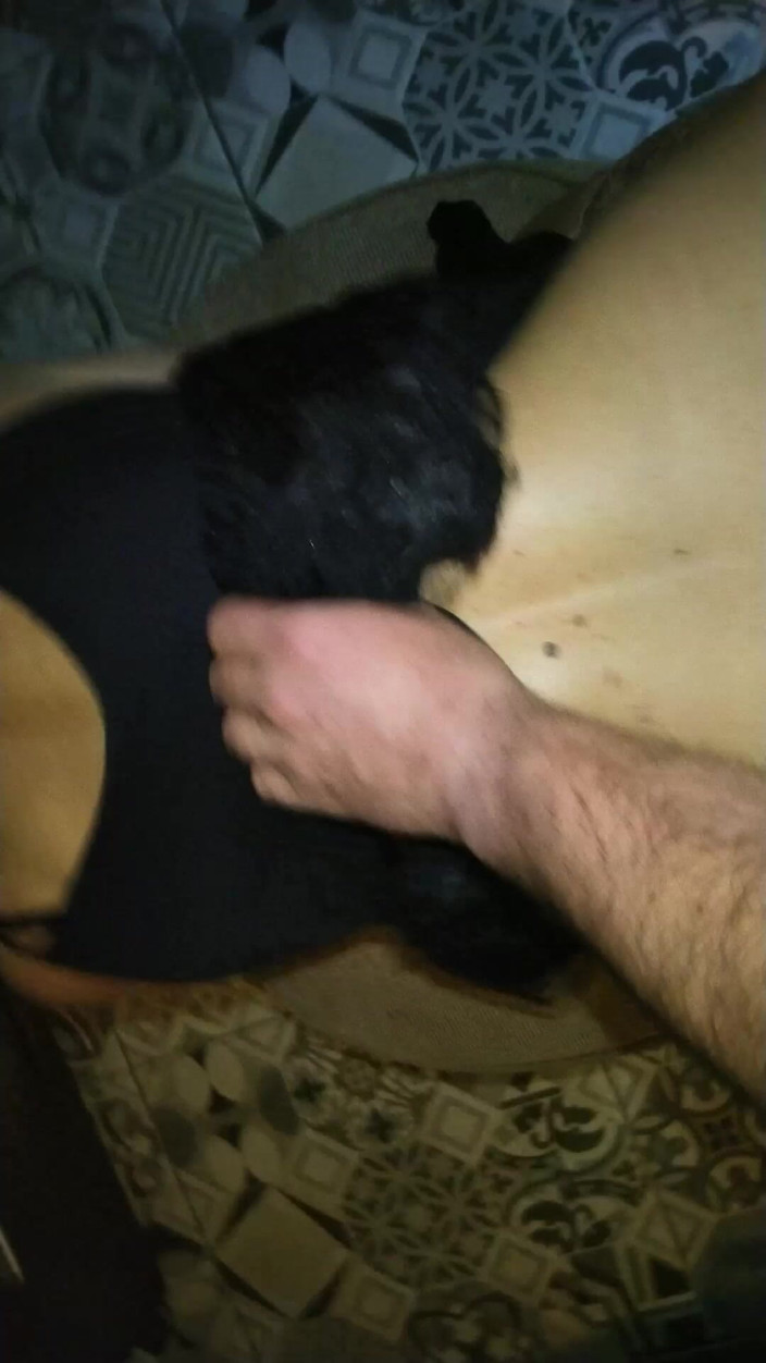 Toilet Mommy: バレリーナのドレスとButtplugホイップドで肛門弄の法律の母