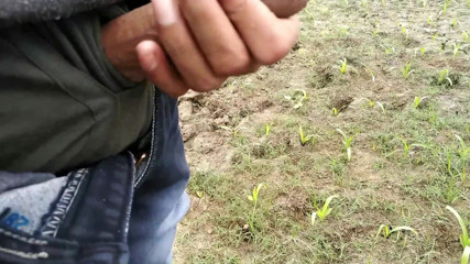 Desimast7: Indian Masturbation in Outdoor Handjob Sex