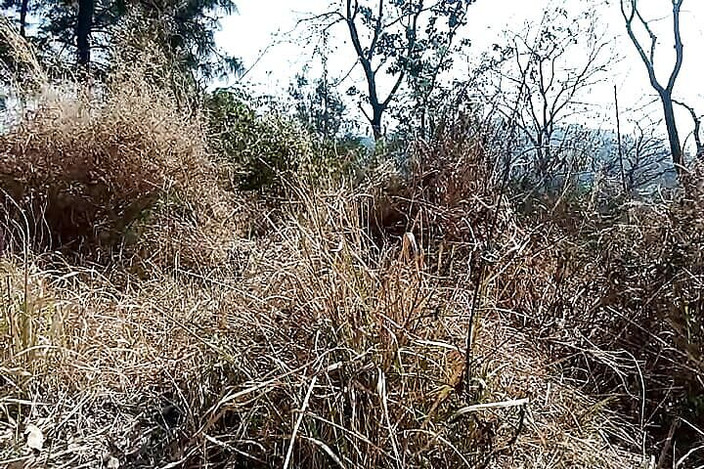 Gangbang straight: ジャングルで自慰行為をする若いインド陸軍の男の子