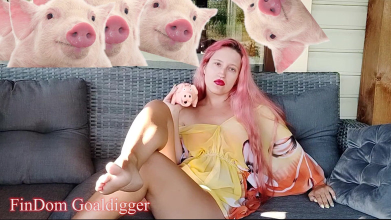 FinDom Goaldigger: Cash slave application form review