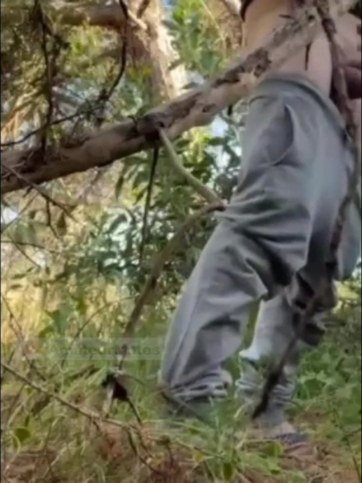 AmateurMates: Hot Amateur Boy Sucks and Rims in the Woods