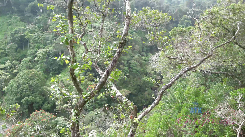 ATK Girlfriends: Virtuální dovolená Na Havaji se Sophií Leone 4/6