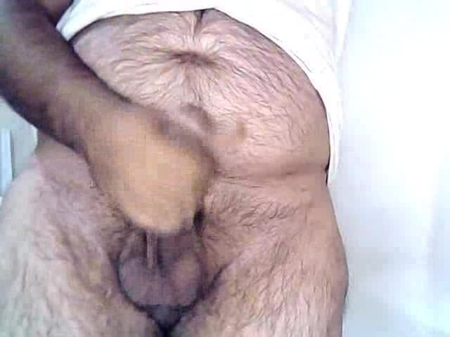 legend-wind: 你想要我吗