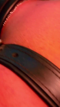 Sub Analizado Com Mega Cinta-