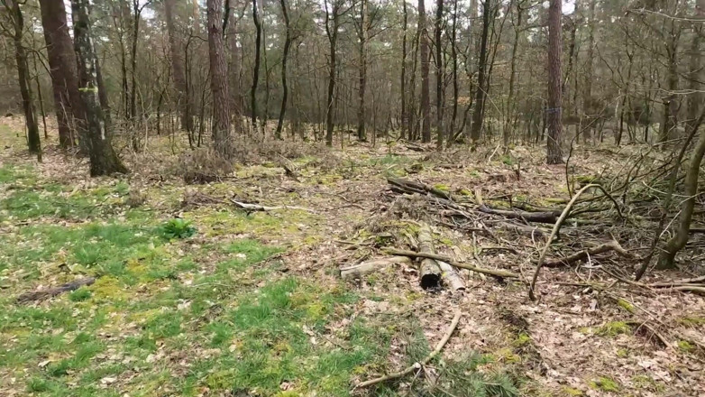 Bikergirl_97: My First Outdoor Fuck with Facial Insemination