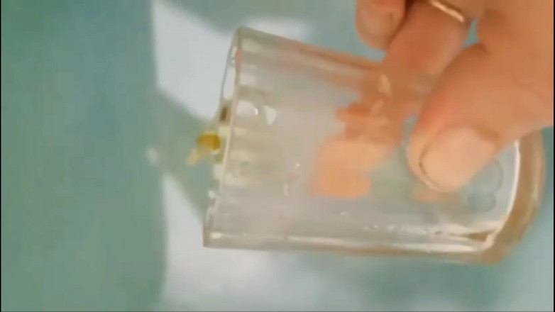 SexyAnka: Saya mahu kencing dalam mulut awak. dengan Perbualan di Rusia