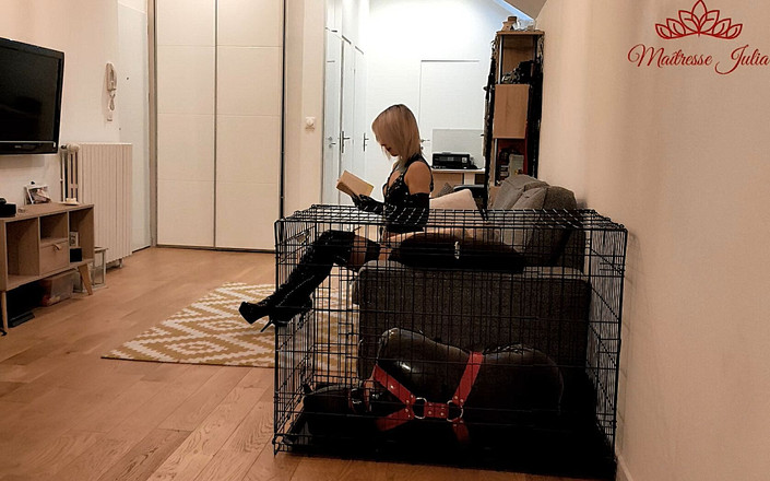 DeesseJulia: Maitresse Julia乳胶女主调教。我的处女奴隶被干菊花。