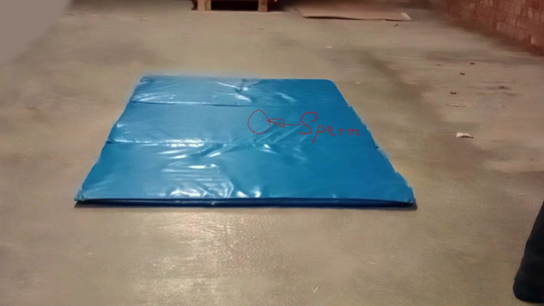 Mark Hannes: Depo katında hızlı riskli kambur mastürbasyonu