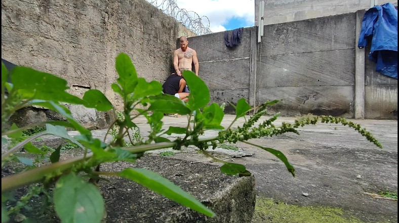 carmonaoficial: जंगल में कैमरा फिल्मों दो विषम कमबख्त