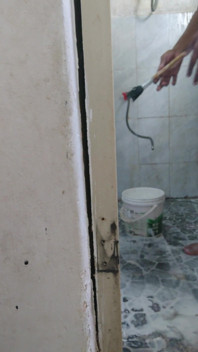 Ducha