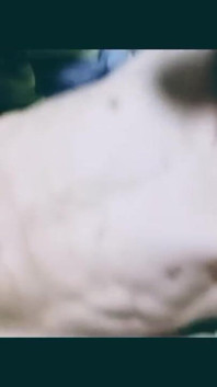 Nice Anal