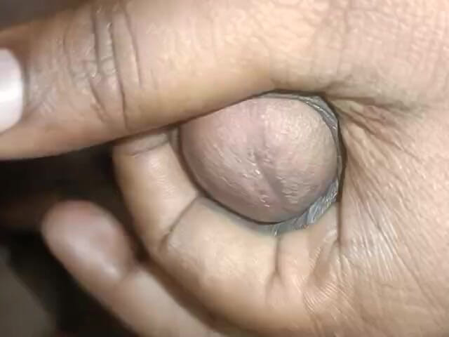 LegalVector8: 新しいビデオ