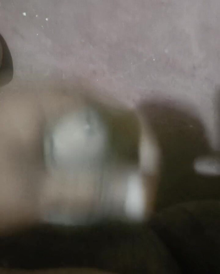 LegalVector8: Polla india