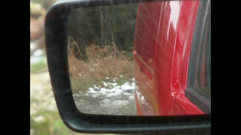 Movies by Louise: Flashing in the gloryhole van (solo)