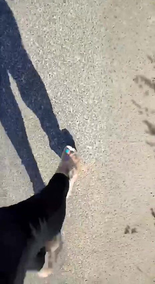 BadCat: Gambe sexy che camminano con i tacchi alti