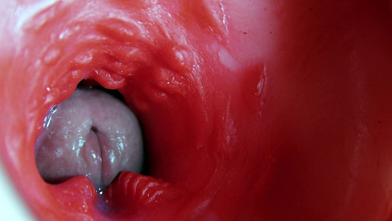 SEXY_GUYBEST: 超高质量尖叫湿洞asmr相机里面