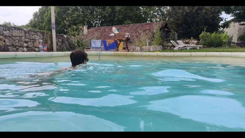 Snauwflake: Pool Guy
