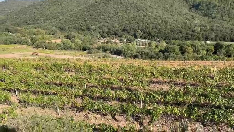 DarrellDeeps: Dia meniup saya ayam terangsang