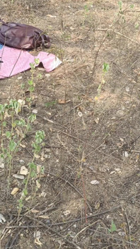 Fantástico sexo ao ar livre