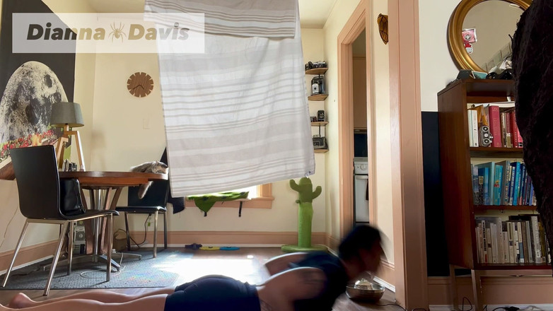 Dianna Davis: 빠른 요가