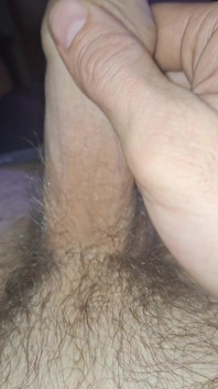 Penis Erection