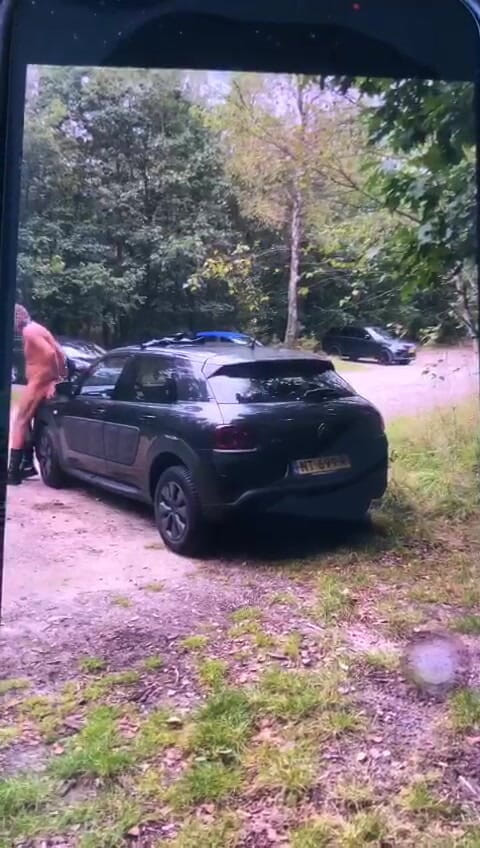 Benb Studio: 벌로 나무에 묶여