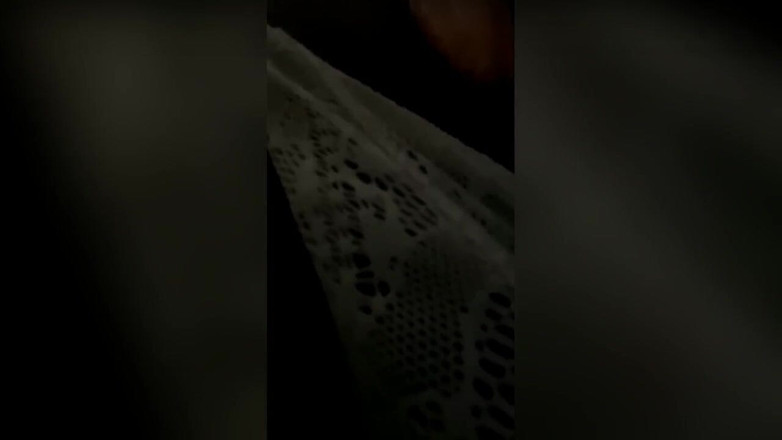 Emperor Kai Da God King: Chico de ébano teniendo una buena noche