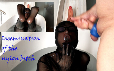 Hotvaleria: Inseminazione della cagna di nylon