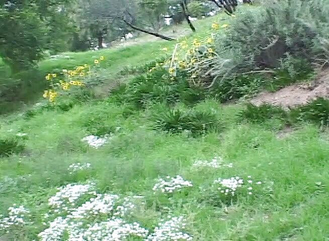 Cock Fest: Шлюха любить отримувати подвійне проникнення