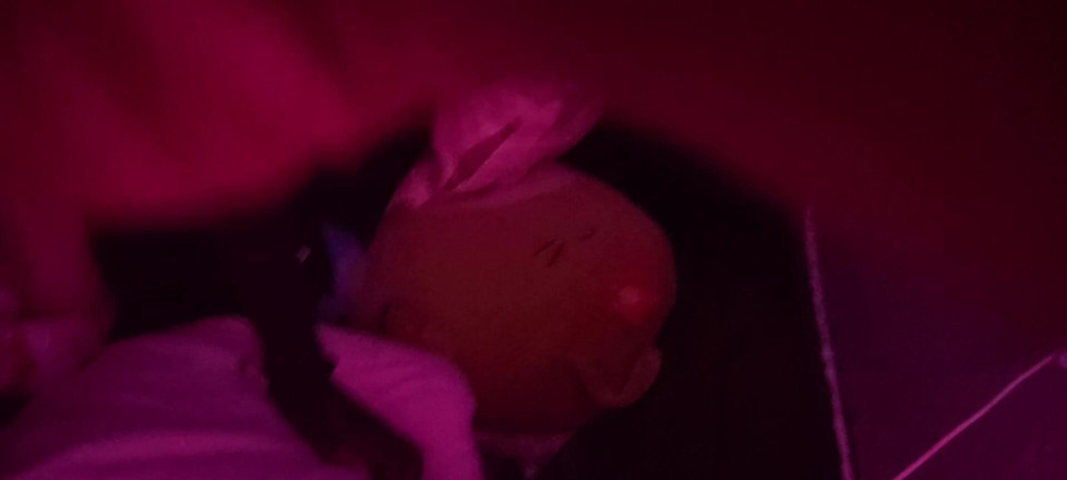 Dick for yo bitch: Černá a bílá láska v tom nejlepším zblízka