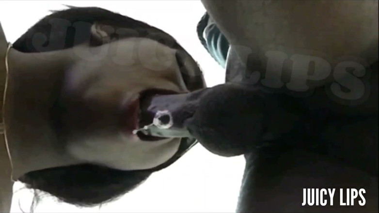 Bigmaj414: Juicy Lips Slurps His Dick so Sloppy He Nut!!! in...