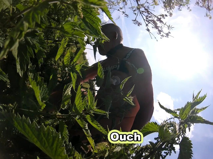 Andy: 3부 산책 38