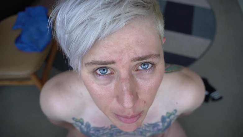 Transnificent: Sfârșitul strâmt!