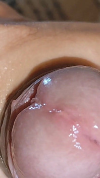 Curvilinear Pulsation of the Robust Cummed Limb