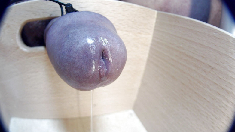 Gaylectrician: Primo piano di una sborrata 21-11-12