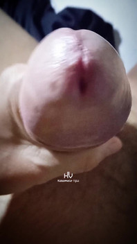 Ich Liebe Es, Schwänze Zu Greifen