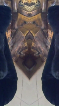 Kompilasi milfycalla - fetish, nyepong kontol romantis, fetish istri latina yang doyan selingkuh sx18