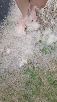 Playing in Fluff