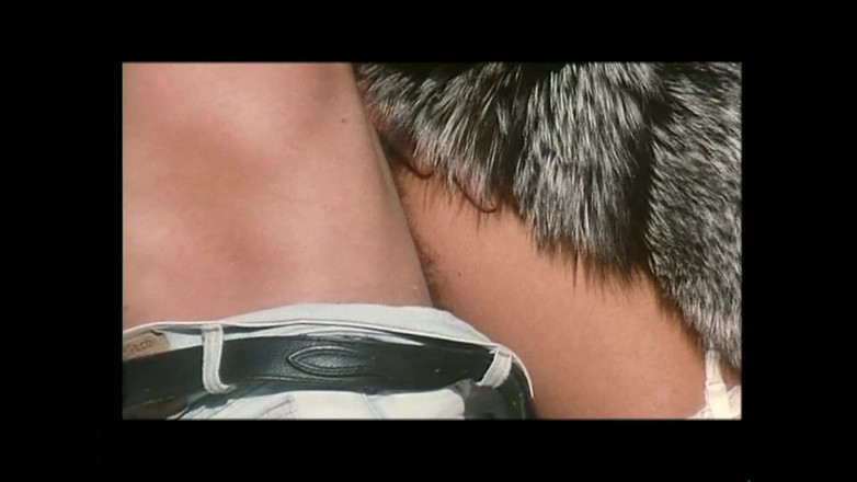 FM Video films: Collezione Luana borgia