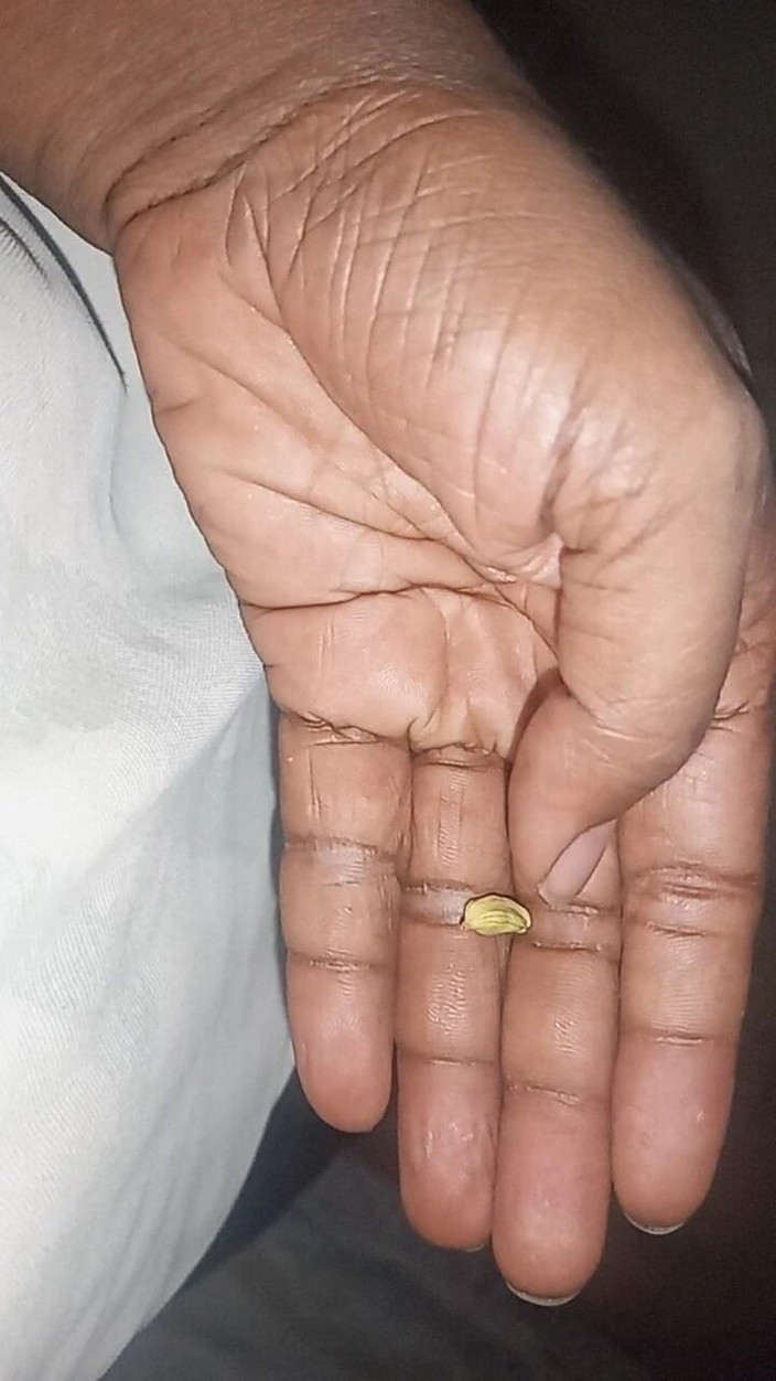 Fucking my wife: Indický gay chlapec