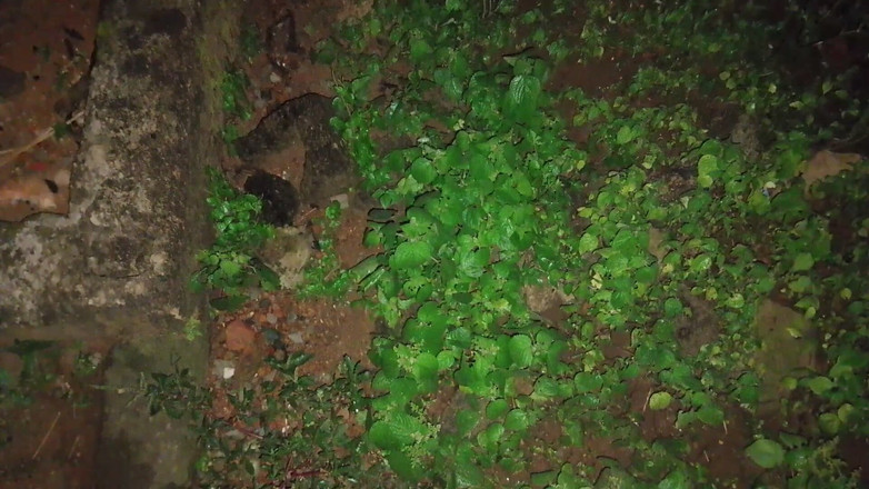 Masturbator emmy: 没有什么比午夜自慰更爽的了