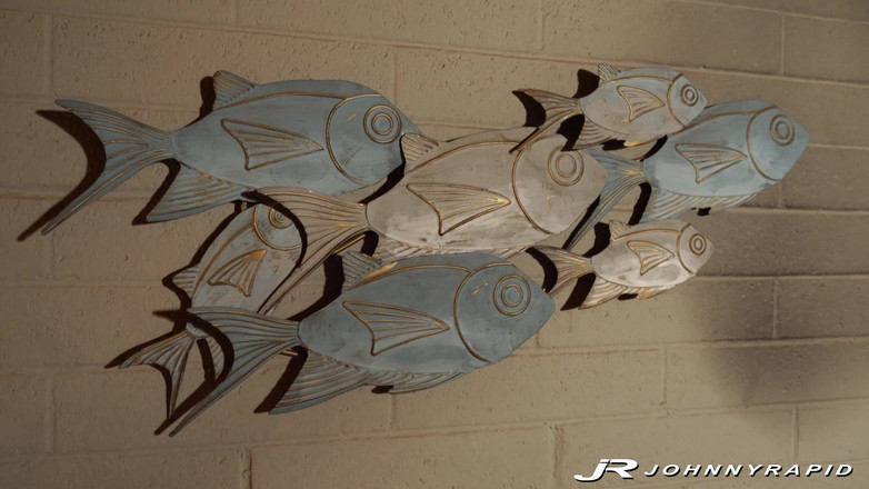 Johnny Rapid: देर रात का लड़का